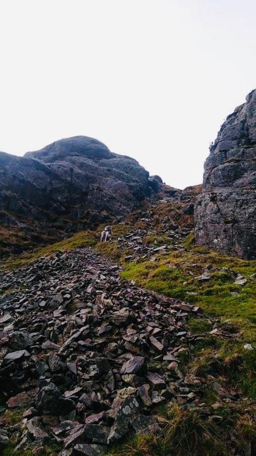 Pisgah Guesthouse Blaenau Ffestiniog Eksteriør billede